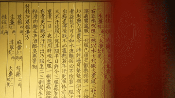 跟着总书记探寻中华文明｜医圣祠：千年药香 承古启今