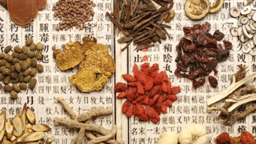 跟着总书记探寻中华文明｜医圣祠：千年药香 承古启今