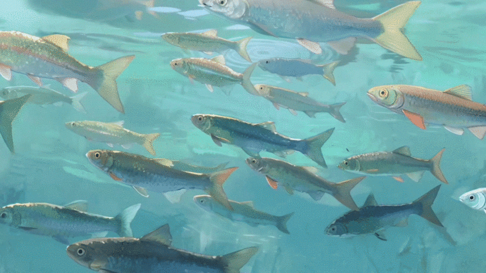 何以中国丨大江奔涌赋新韵,千年文脉奏华章