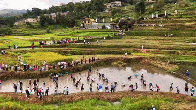 国庆假期文旅市场观察:锦绣中华 家国同庆 国庆假期文旅市场观察:锦绣中华 家国同庆