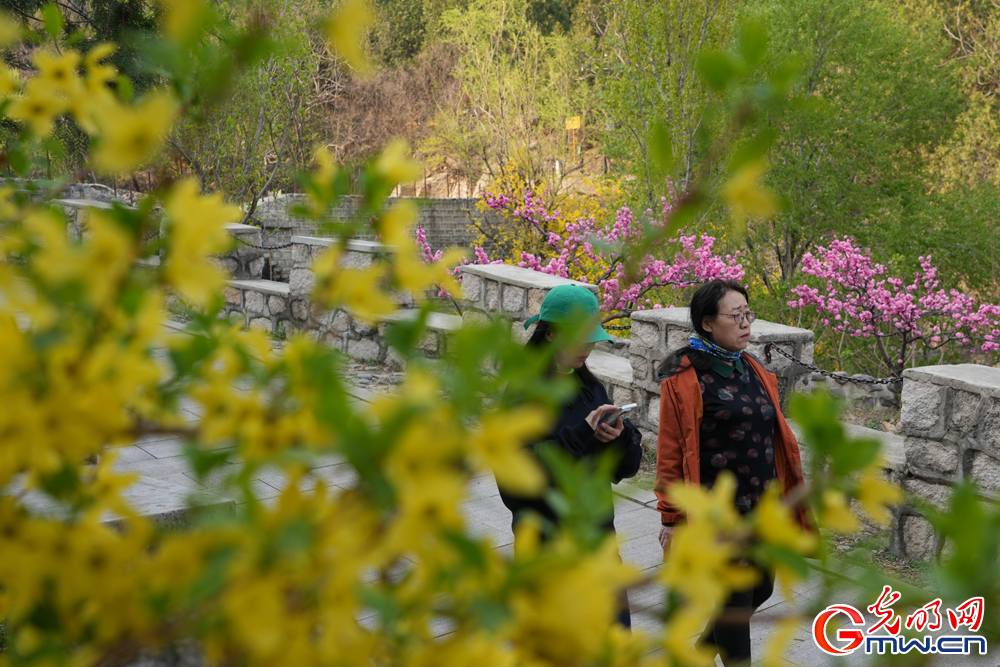 【网络中国节】“Plus版”清明假期 解锁文旅新体验