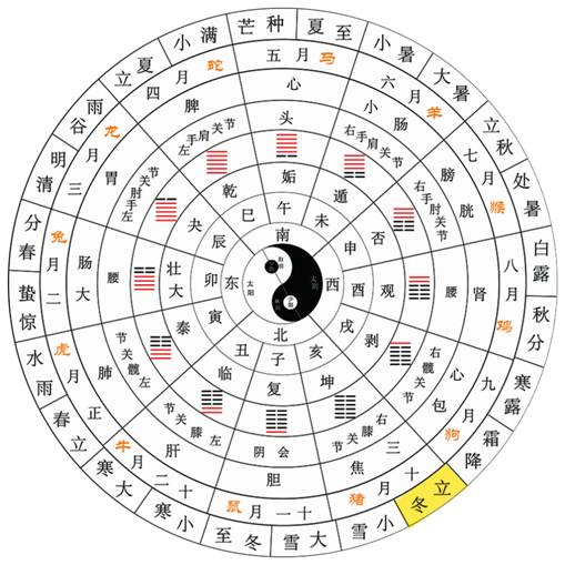 【网络中国节】立冬：乍暖阳春飘赤叶，经寒高木尽精条