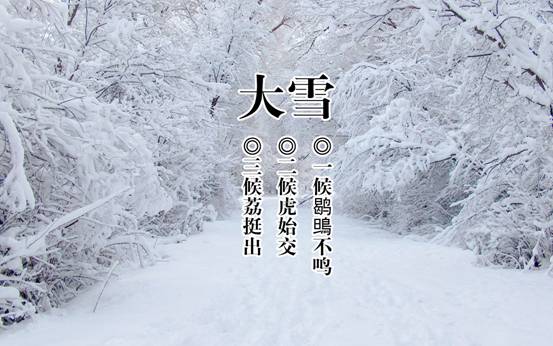 【网络中国节·二十四节气】大雪：玉树琼花新世界，隆冬深处有春来