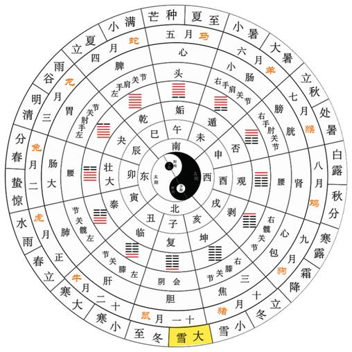 【网络中国节】大雪：玉树琼花新世界，隆冬深处有春来