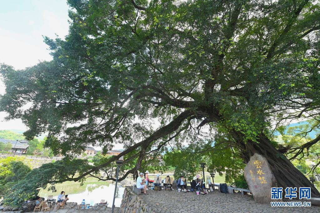 福建南靖：守好土楼 护好山水 振兴乡村