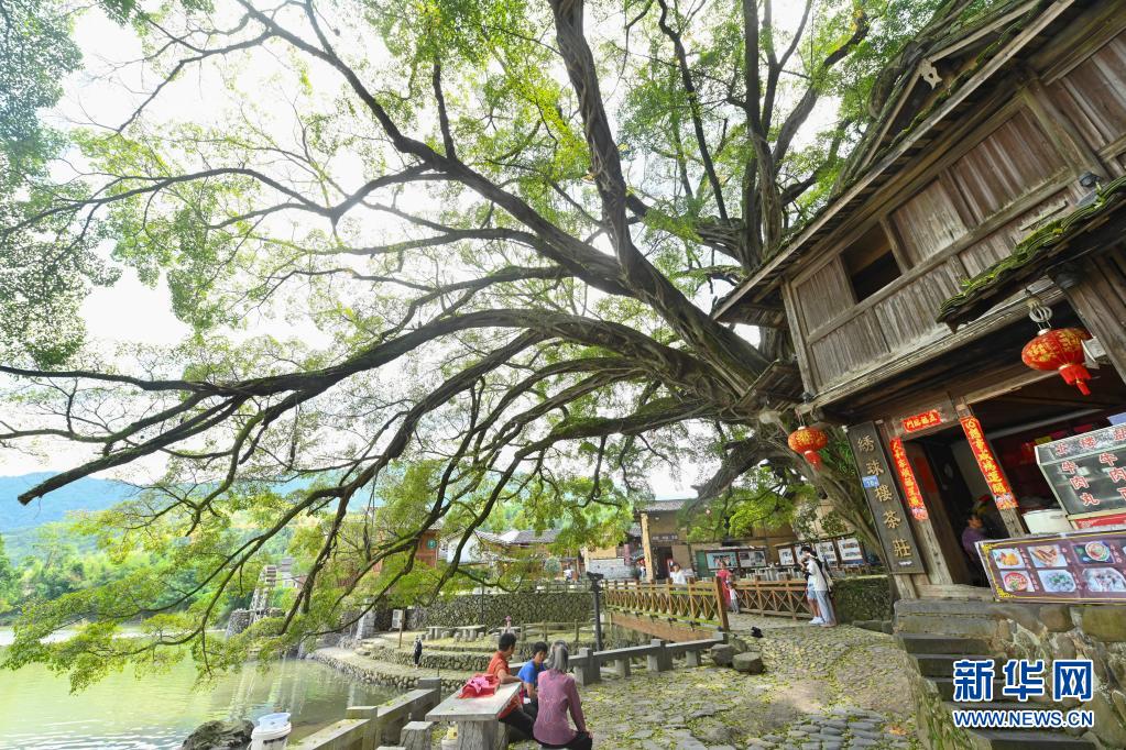 福建南靖：守好土楼 护好山水 振兴乡村