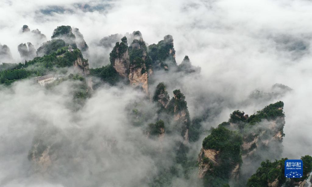 云起峰林间