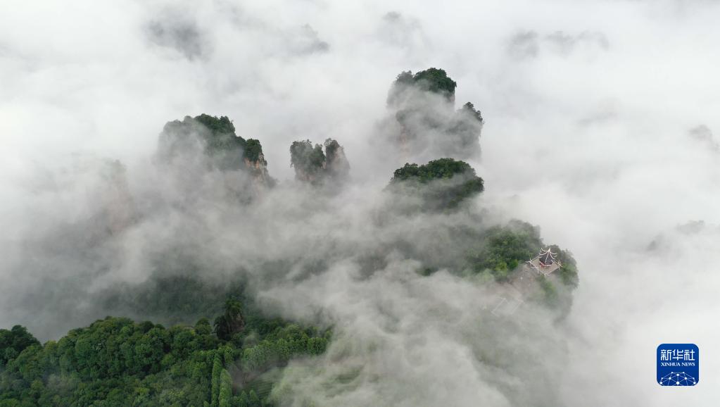 云起峰林间