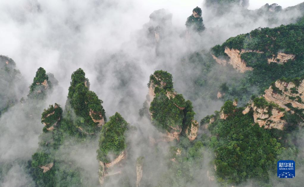 云起峰林间