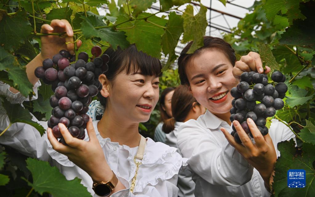 棣花古镇：构建秦岭深处的康养小镇