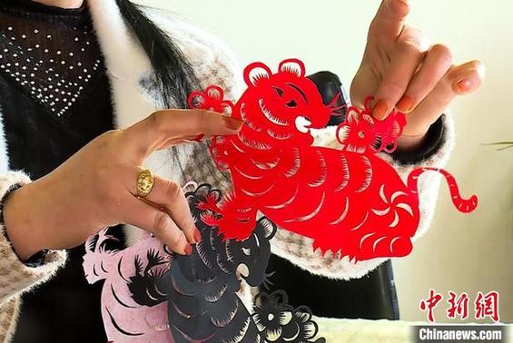 甘肃民间艺人巧剪“老虎”迎新年：形态各异 憨态可掬