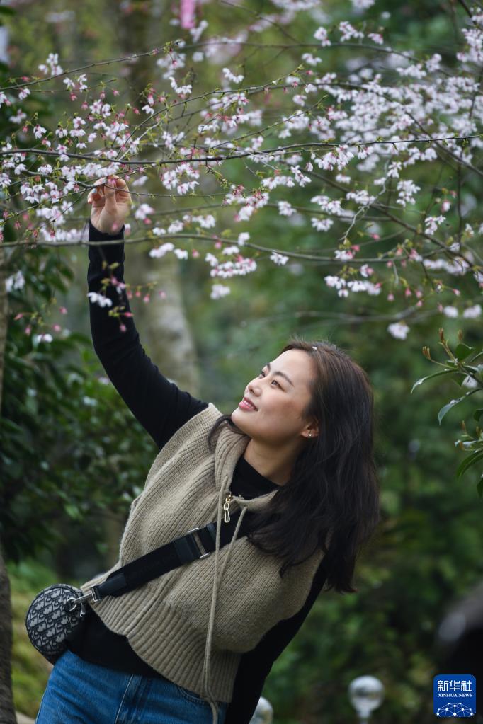 山花迎春到 山村引客来