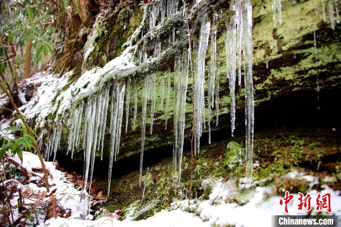 四川达州月亮坪雪后银装素裹 出现冰挂奇观