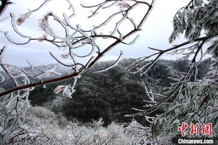 四川达州月亮坪雪后银装素裹 出现冰挂奇观