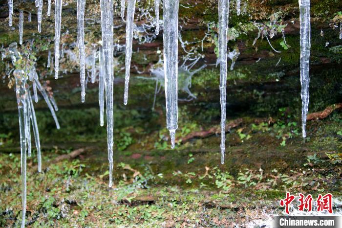 四川达州月亮坪雪后银装素裹 出现冰挂奇观