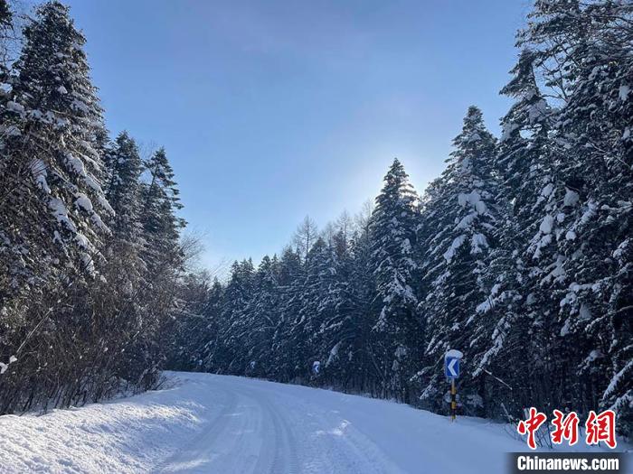 雪后长白山变身“水墨版”林海雪原