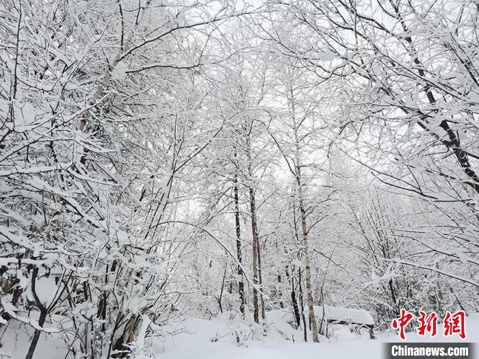 雪后长白山变身“水墨版”林海雪原