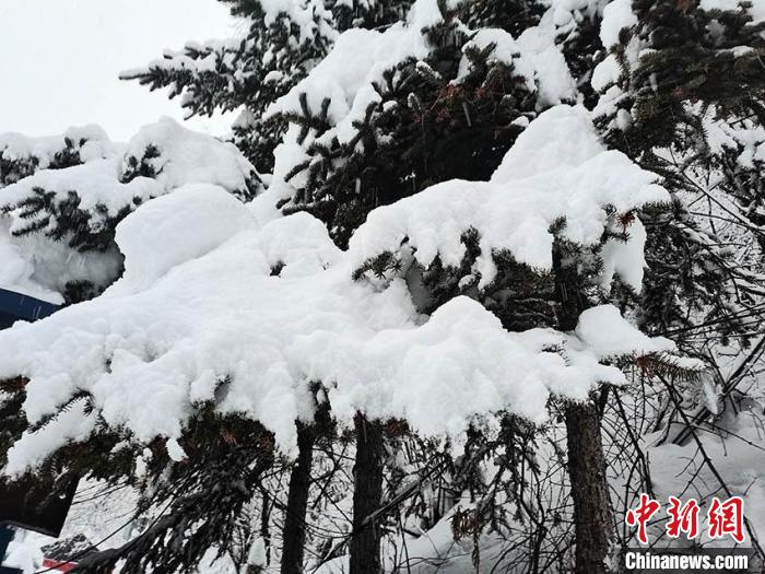 雪后长白山变身“水墨版”林海雪原