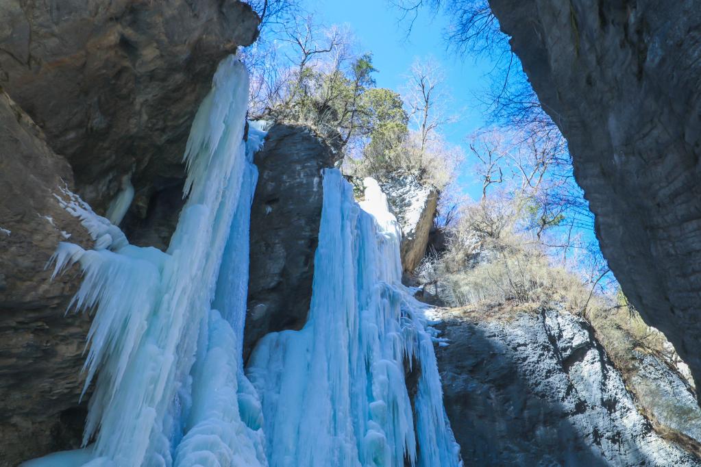 新春走基层丨冰天雪地“冬”游热——甘肃文旅复苏一线见闻