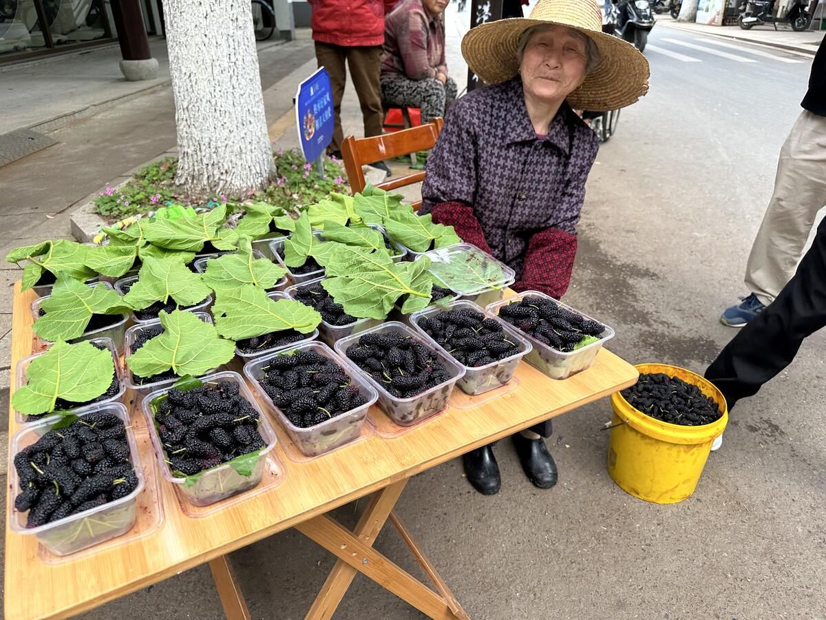 基层问计丨在浙江千年古村 挖掘融合发展的“鱼桑文化”