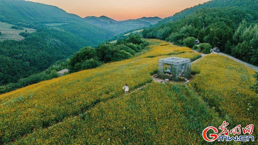 【节气里的大美中国】大暑：何以消烦暑？