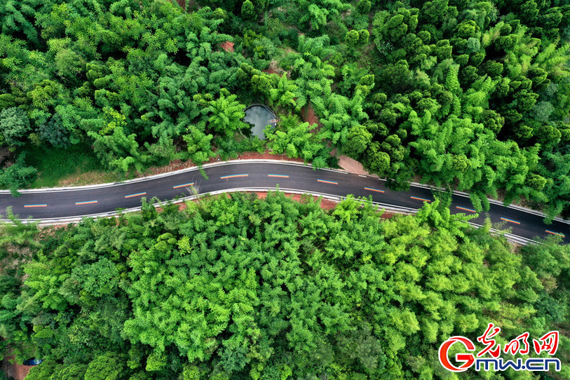 【节气里的大美中国】大暑：何以消烦暑？