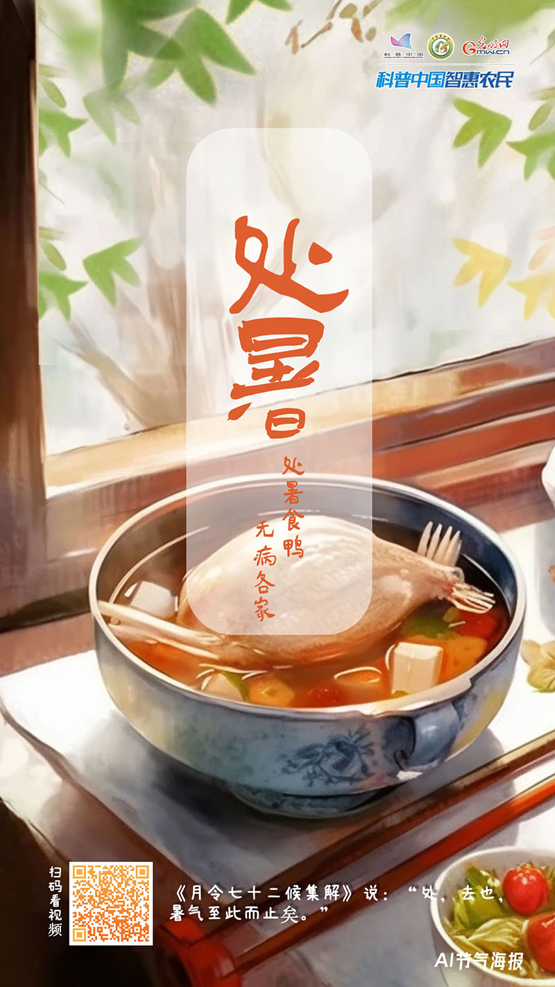 【节气里的大美中国】处暑——暑气渐敛,清秋将至 【节气里的大美中国】处暑——暑气渐敛,清秋将至