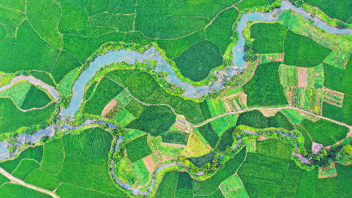 【节气里的大美中国】白露：露从今夜白