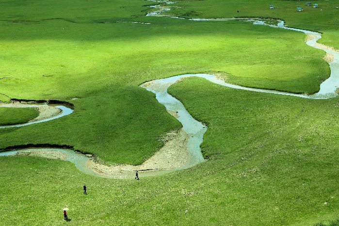 【节气里的大美中国】白露：露从今夜白