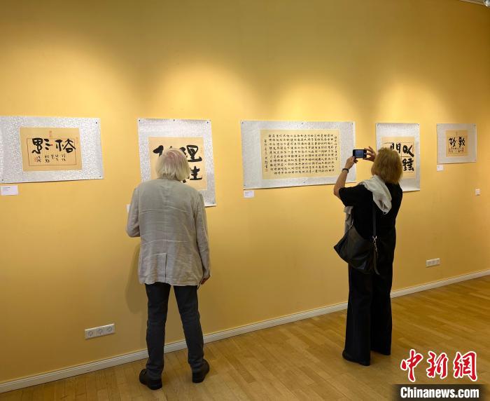 “中德邂逅”书法展在柏林开幕