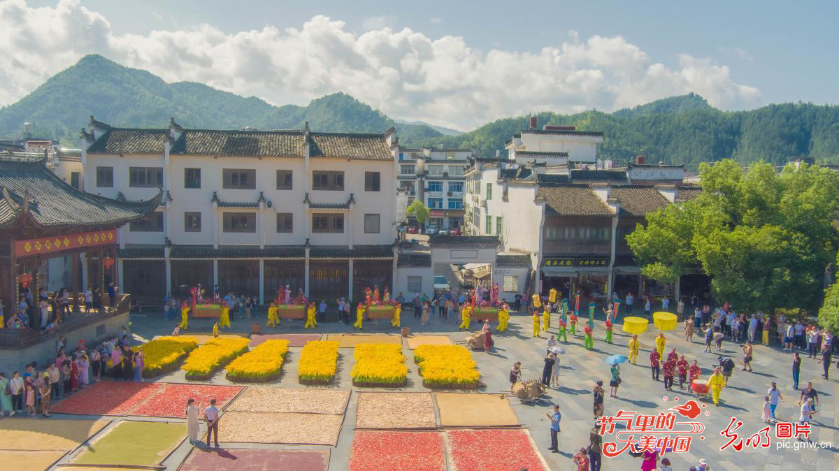 【节气里的大美中国】图话“丰”景丨多地民众花样庆祝丰收节