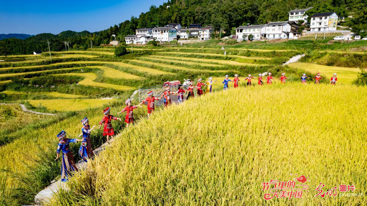 【节气里的大美中国】图话“丰”景丨多地民众花样庆祝丰收节