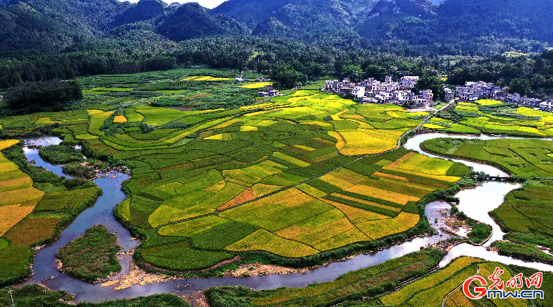 【节气里的大美中国】寒露：凝光悠悠寒露坠