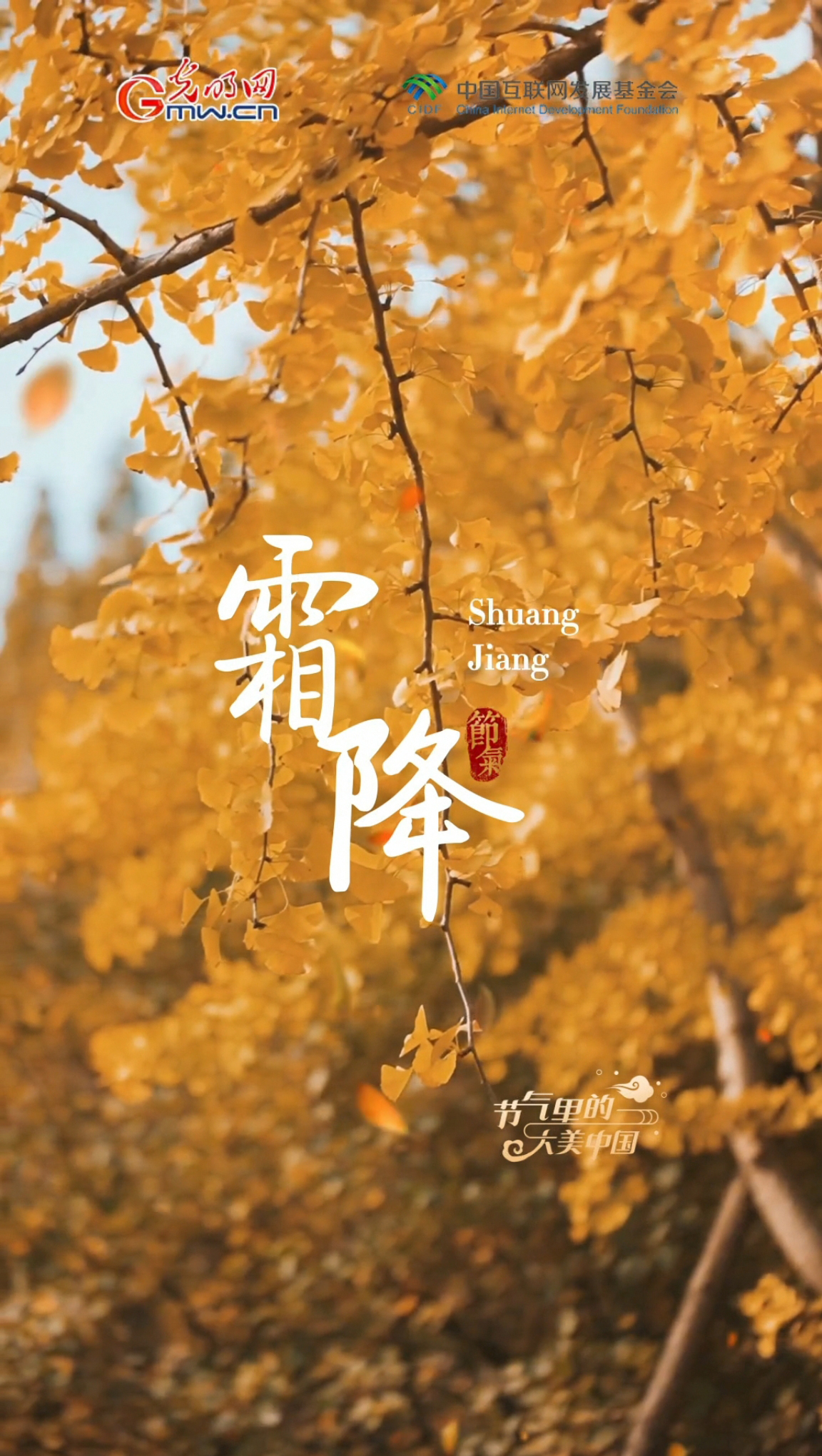 【节气里的大美中国】霜降碧天静，静候冬日来