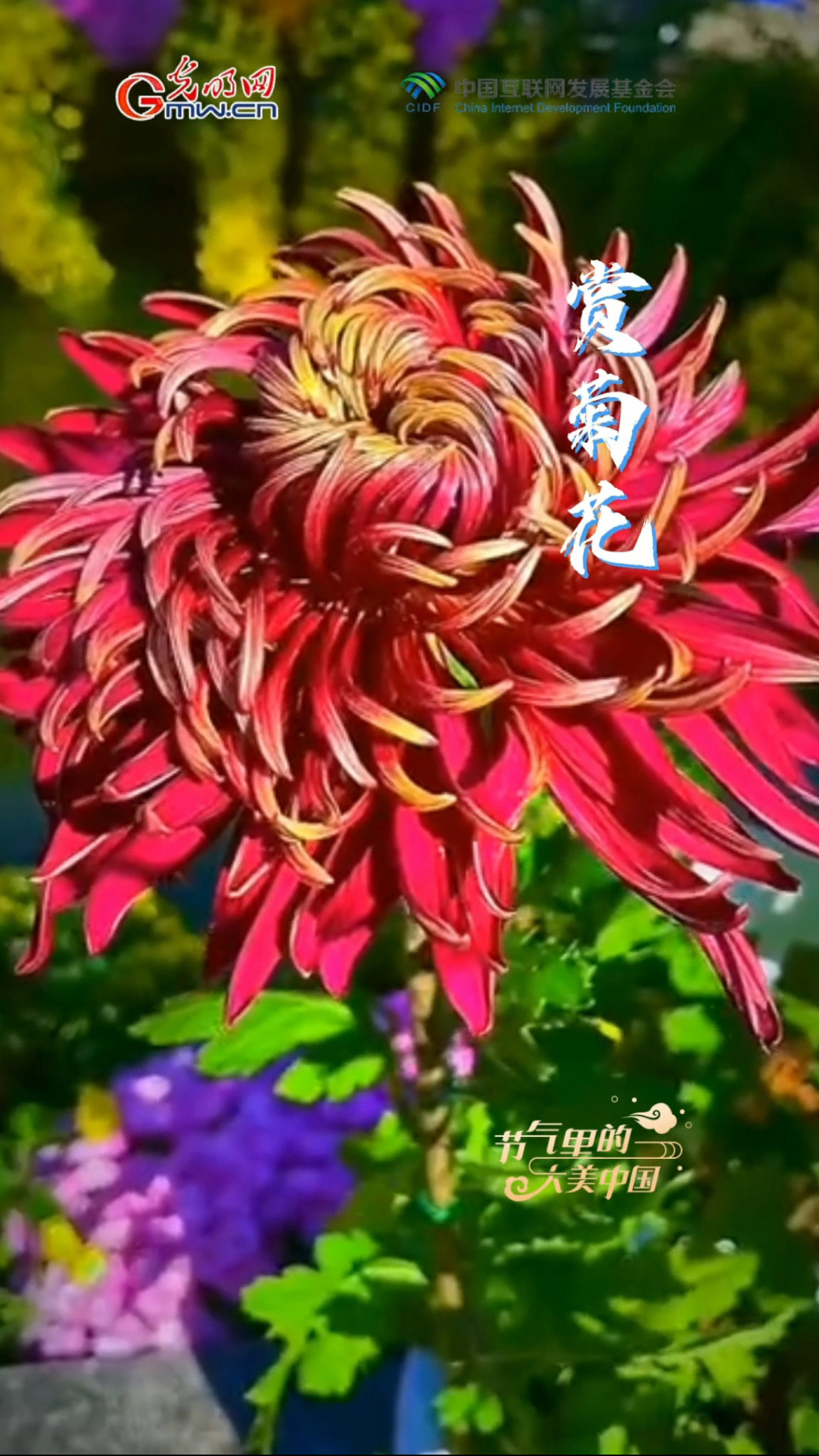 【节气里的大美中国】霜降碧天静，静候冬日来