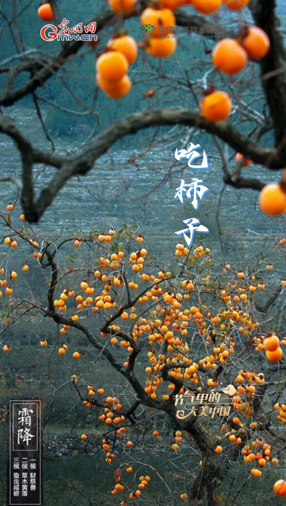 【节气里的大美中国】霜降碧天静，静候冬日来