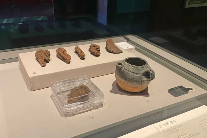 一眼6000年！不管是“chaaya”还是“tey”，源头都在这里