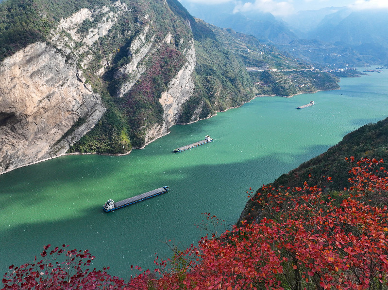 【节气里的大美中国】大雪：闲来松间坐 看煮松上雪