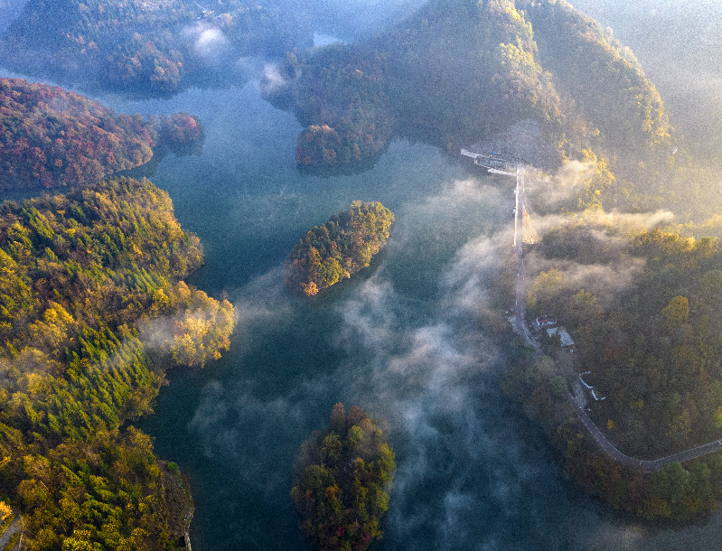 【节气里的大美中国】大雪：闲来松间坐 看煮松上雪