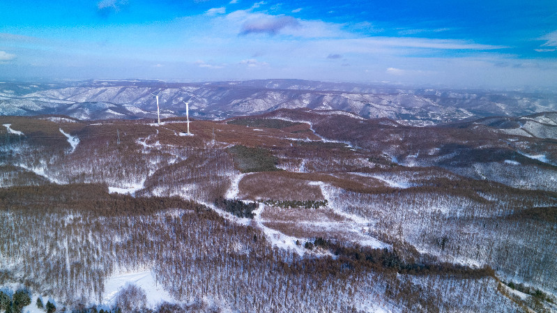 【节气里的大美中国】大雪：闲来松间坐 看煮松上雪