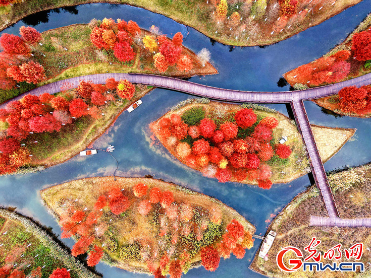 【节气里的大美中国】冬至:从此日长天又暖 【节气里的大美中国】冬至:从此日长天又暖