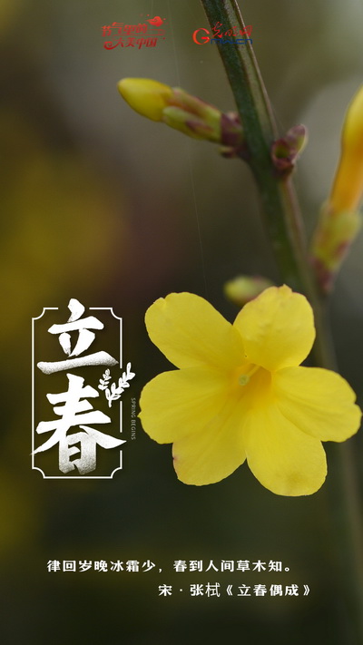 【节气里的大美中国】节气PLOG丨让我们立起一个充满希望的“春”