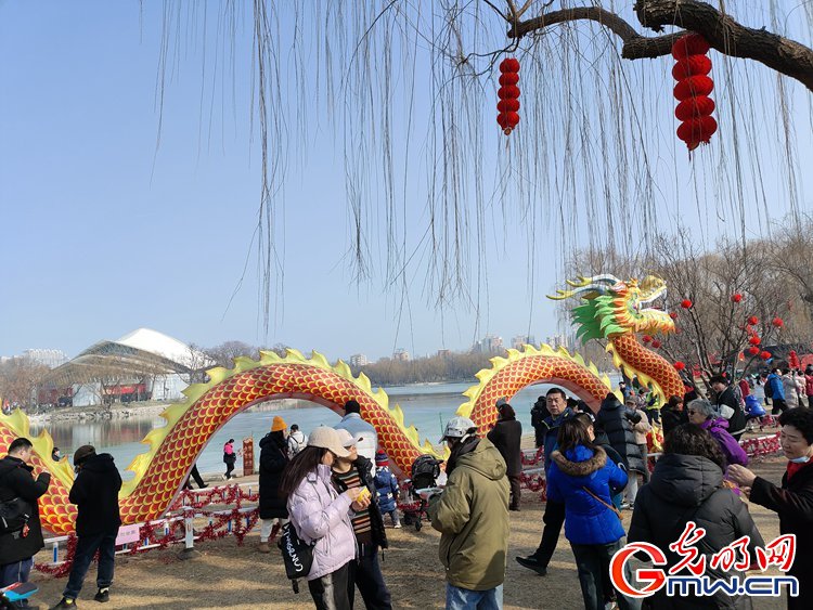 【新春走基层】组图丨北京龙潭庙会：众龙庆春 年味拉满