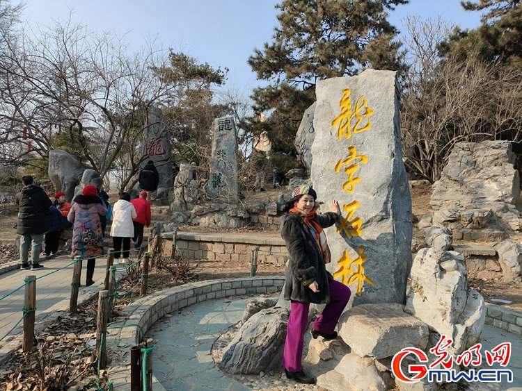 【新春走基层】组图丨北京龙潭庙会：众龙庆春 年味拉满