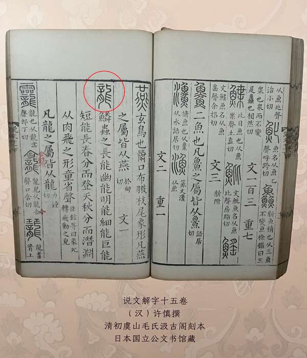 【新春走基层·文化过大年】甲骨文中的“龙”，你认识吗？