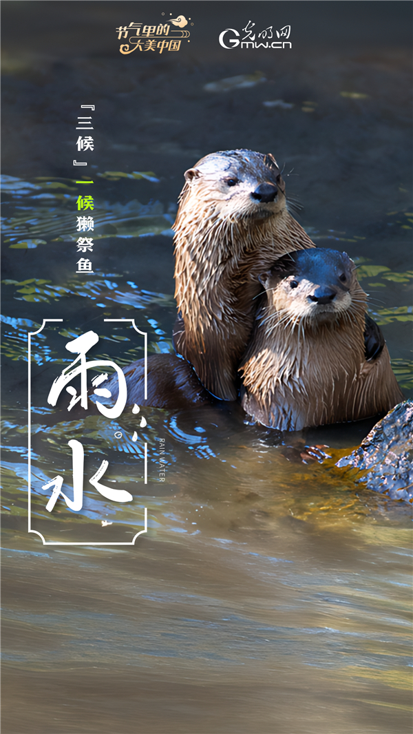 【节气里的大美中国】节气PLOG丨莫等闲，珍惜这最好的时节！