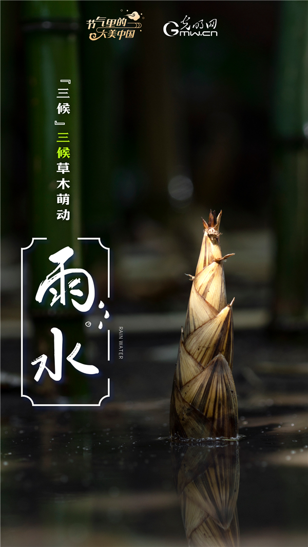 【节气里的大美中国】节气PLOG丨莫等闲，珍惜这最好的时节！