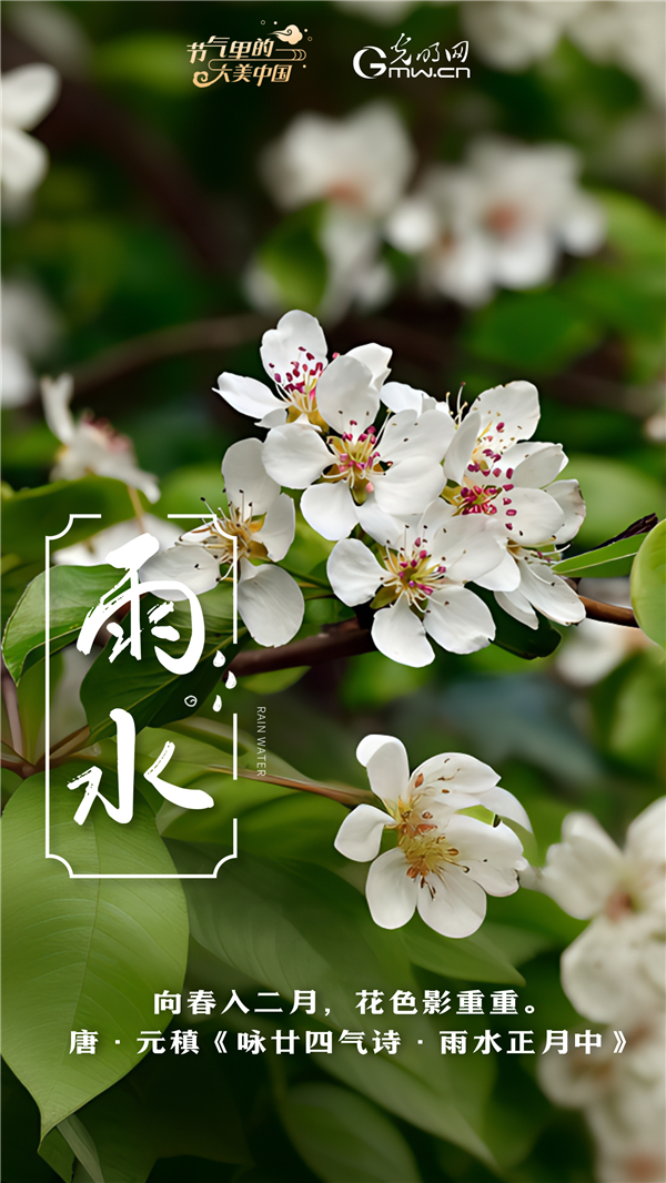 【节气里的大美中国】节气PLOG丨莫等闲，珍惜这最好的时节！