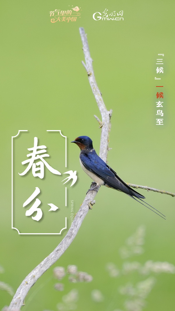 【节气里的大美中国】节气PLOG丨春分，一切都刚刚好