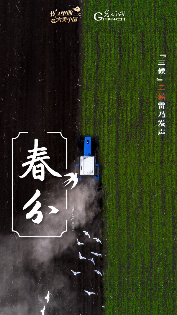 【节气里的大美中国】节气PLOG丨春分，一切都刚刚好